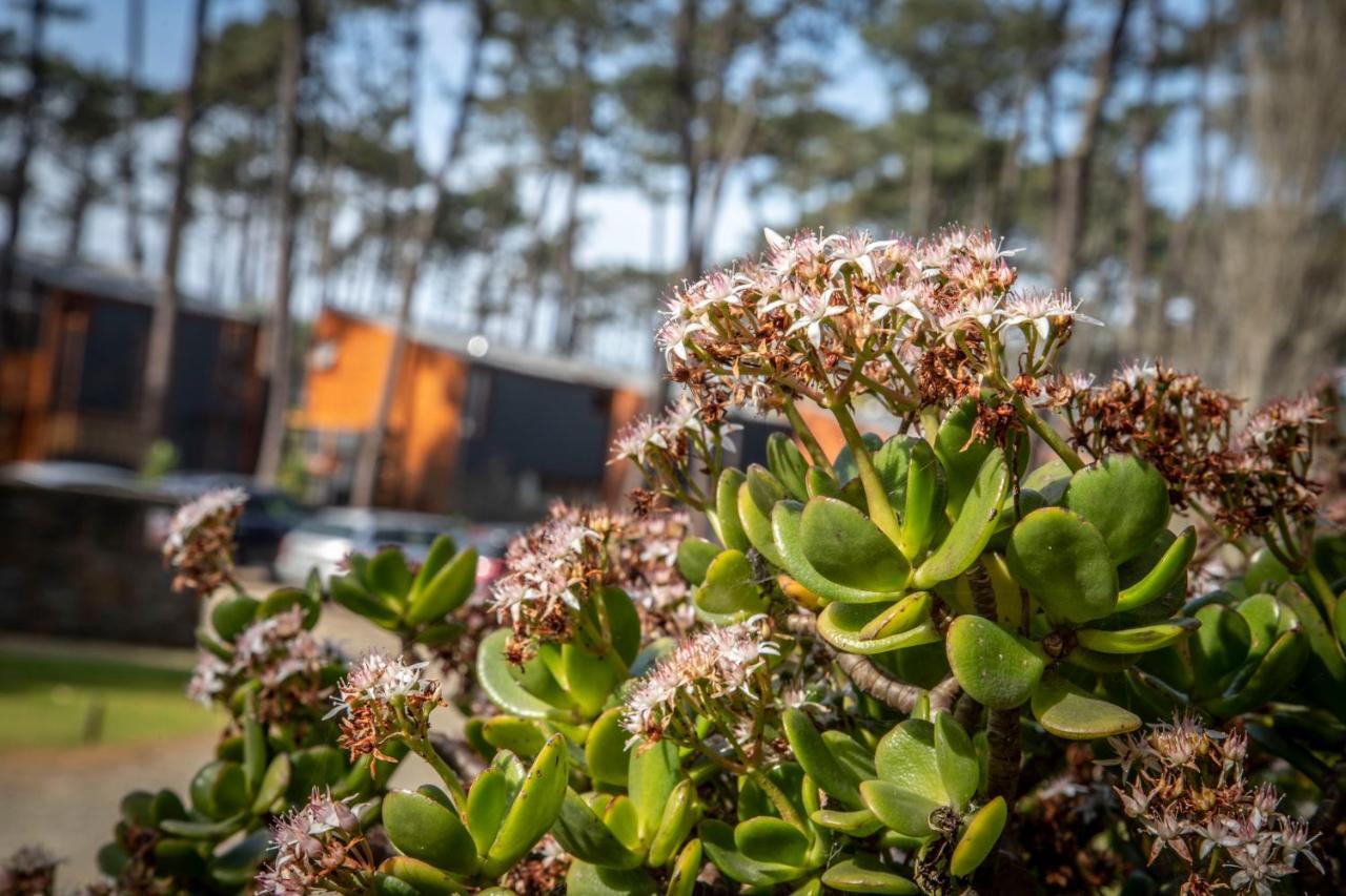 Bungalow B9 - Nature, Beach & River Fão Exterior photo