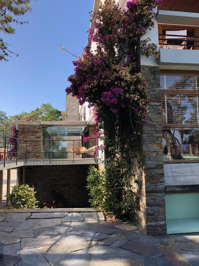 Bungalow B9 - Nature, Beach & River Fão Exterior photo